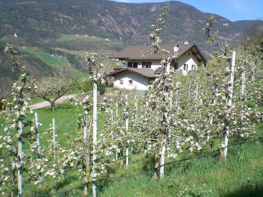 Schiedhof Alojamento de Turismo Rural Castelrotto