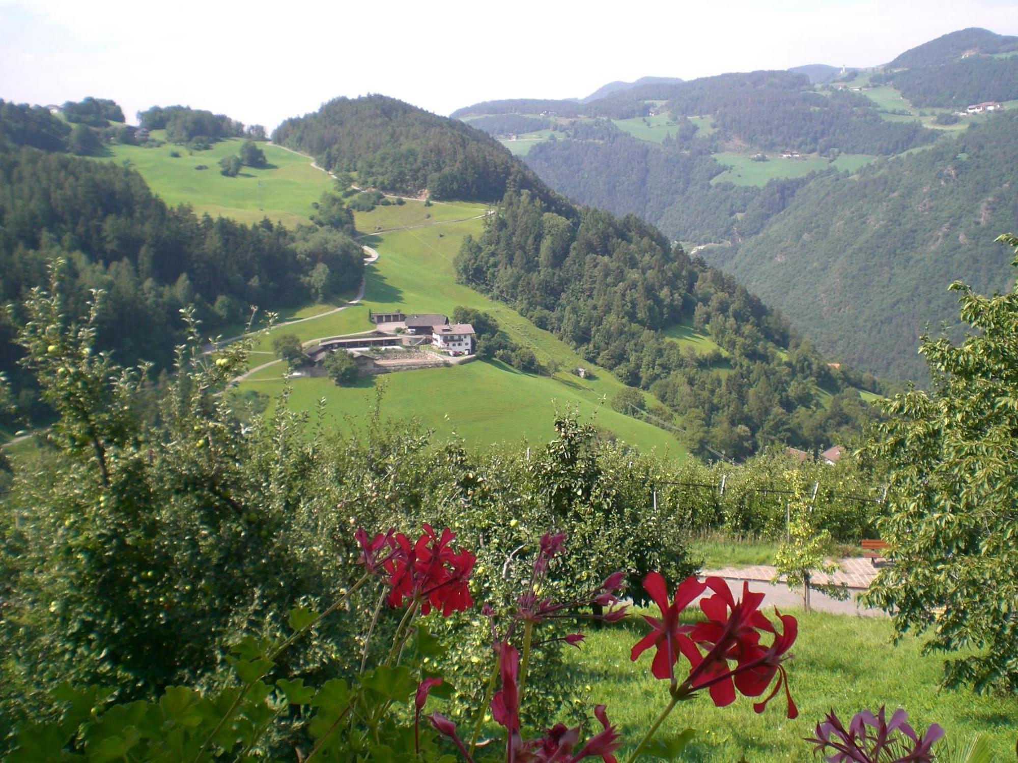 Alojamento de Turismo Rural Schiedhof Castelrotto